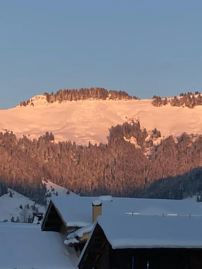 Chalets Savoie Notre-Dame-de-Bellecombe France