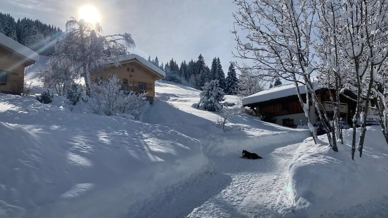 Chalets Savoie Notre-Dame-de-Bellecombe France