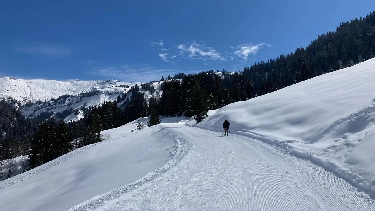 Chalets Savoie Notre-Dame-de-Bellecombe