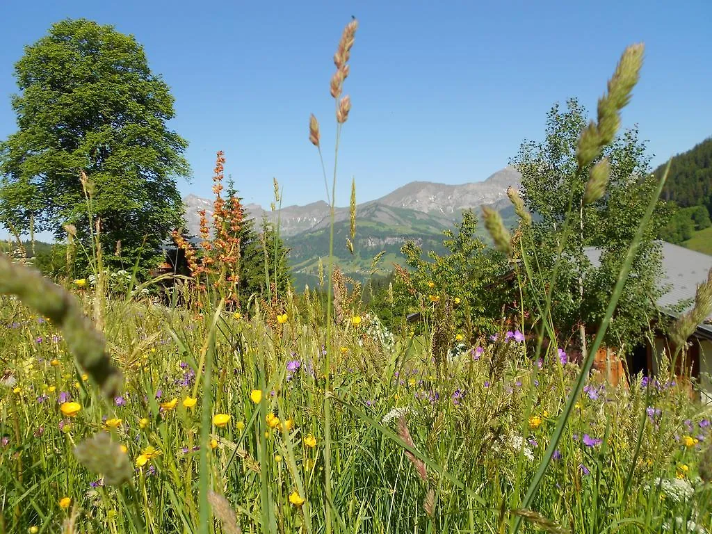 Chalets Savoie Notre-Dame-de-Bellecombe France